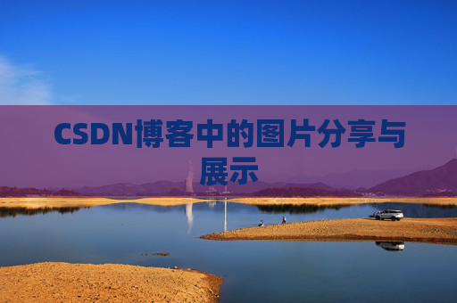 CSDN博客中的图片分享与展示